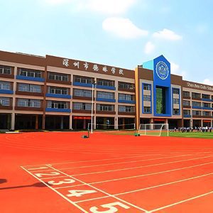 深圳市德林学校 深圳市德林学校