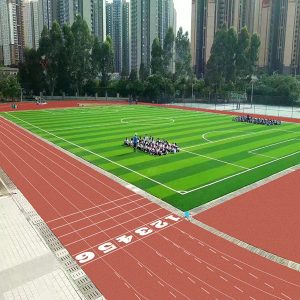 深圳市南湾学校