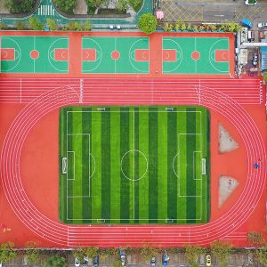 香港中文大学(深圳)附属知新学校 香港中文大学(深圳)附属知新学校
