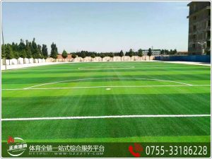 IM电竞告诉你劣质人造草坪足球场对人体健康和环...