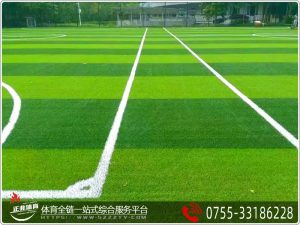 在选择人造草足球场建设公司时应注意这些问题 在选择人造草足球场建设公司时应注意这些问题