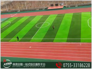 深圳塑胶跑道施工项目解决方案 深圳塑胶跑道施工项目解决方案